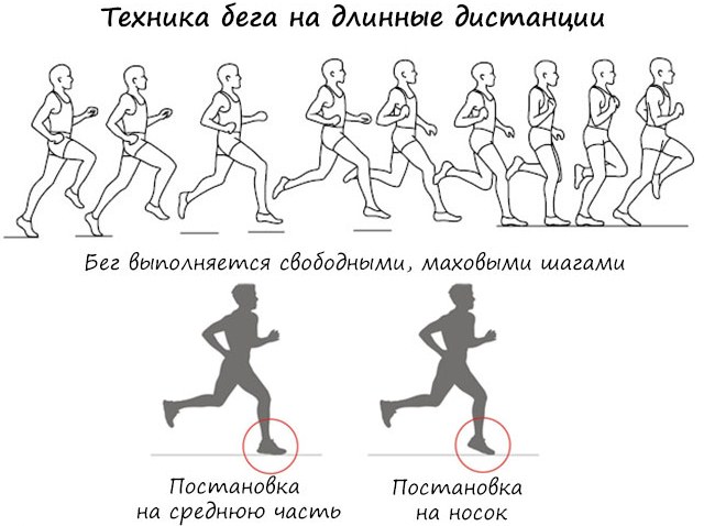 الركض لفقدان الوزن. كم تحتاج للجري ، طاولة للنساء والرجال
