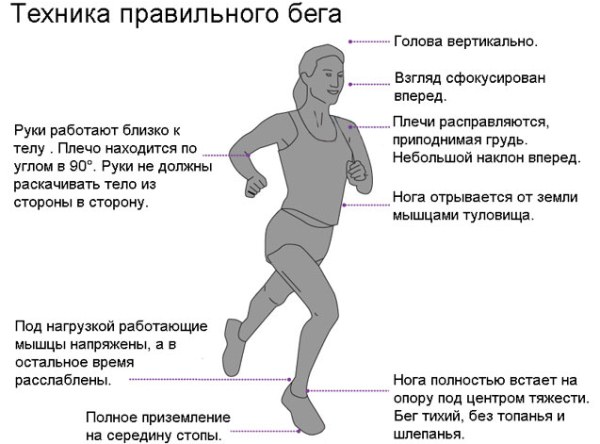 الركض لفقدان الوزن. كم تحتاج للجري ، طاولة للنساء والرجال
