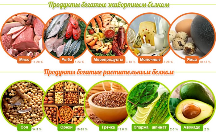 Diet for drying the body for girls. Menu for every day, for a month. Sports Nutrition Recipes
