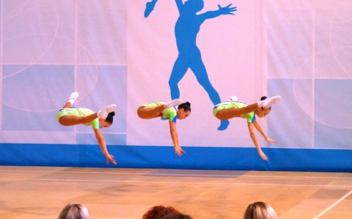 Gymnastique - qu'est-ce que c'est, types (classification), caractéristiques, technique, objectifs