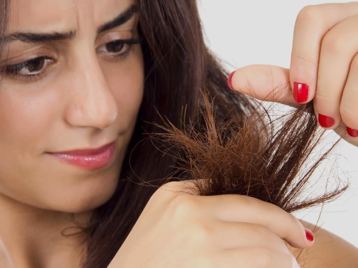 Dầu ngưu bàng cho tóc - tác dụng, đặc tính, cách điều trị. Dầu ảnh hưởng đến tóc như thế nào - lợi hay hại. Nhận xét