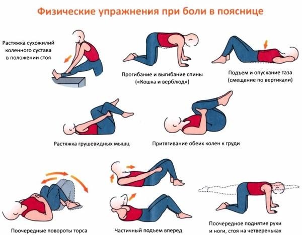 Latihan untuk punggung, postur wanita, dengan osteochondrosis, scoliosis, hernia. Berlatih dengan dan tanpa dumbbell di rumah