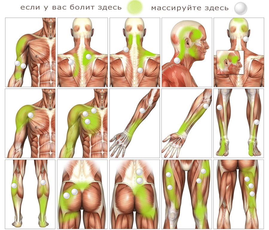 تدليك اللفافة العضلية - ما هو ، تعلم كيفية تدليك الوجه والجسم والظهر. صور وفيديو دروس بواسطة شبينا