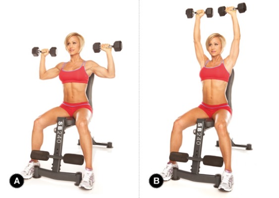 Exercises on the shoulders in the gym for girls. Workout rules