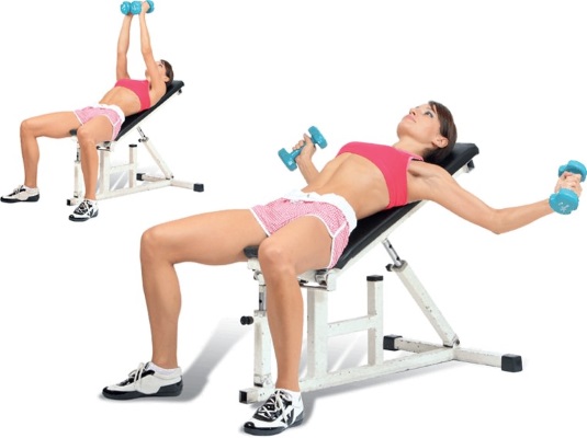 Exercises on the shoulders in the gym for girls. Workout rules