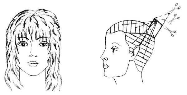 Talls de cabell en cascada per a cabells llargs amb serrell, sense serrell, cara ovalada, foto