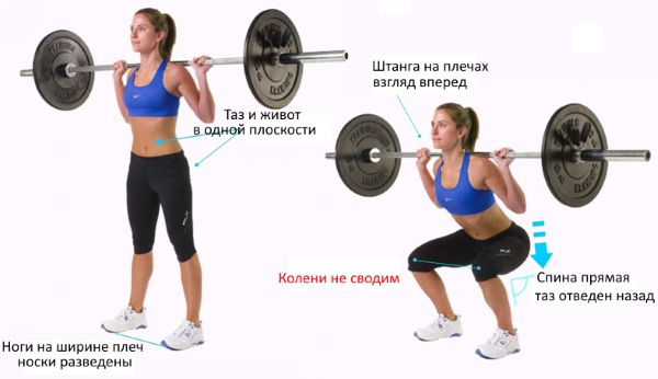 Workouts for gaining muscle mass for girls: strength, cardio workout, warm-up