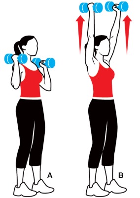 Träning för att få muskelmassa för tjejer: styrka, konditionsträning, uppvärmning