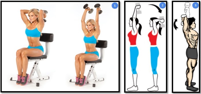 Latihan asas untuk wanita untuk otot dada dengan dumbbells, barbell, kettlebell, expander, untuk berat badan