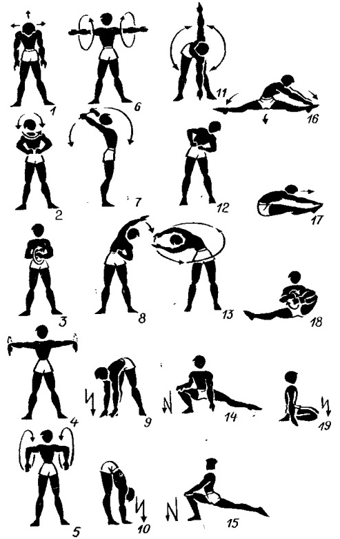 Exercicis bàsics per a dones per a músculs pectorals amb peses, peses, peses, expansor, per al pes corporal