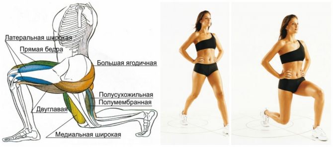 Basisoefeningen voor de billen en benen voor meisjes: met halters, elastische band, lange halter, gewichten, expander, fitball, elastische band