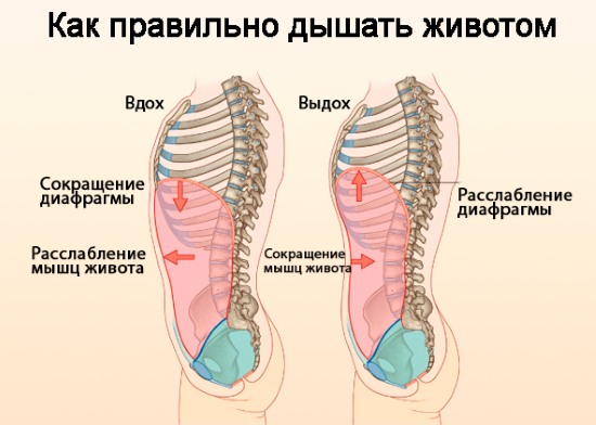 Αναπνοή για αδυνάτισμα της κοιλιάς και των πλευρών. Ασκήσεις αναπνοής Bodyflex, κενό για γυναίκες και άνδρες Marina Korpan, Strelnikova, Buteyko