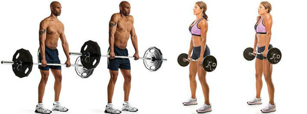 Bài tập tạ tại nhà. Chương trình đào tạo cho phụ nữ và nam giới: tăng cơ bắp tay, cơ thể, tăng cân