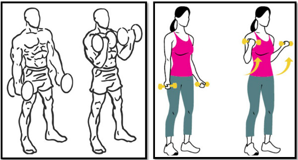 Exercices d'haltères à la maison. Programme d'entraînement pour femmes et hommes: gonflement des bras, des muscles du corps, prise de poids