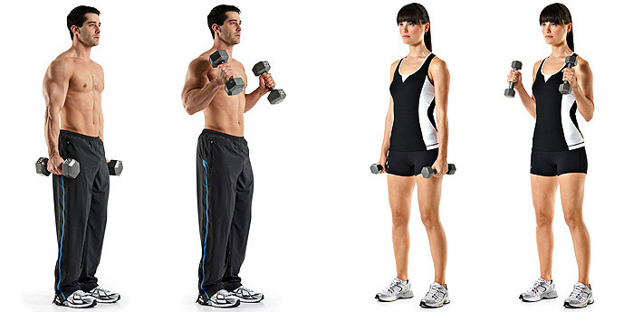 Dumbbell exercises at home.Training program for women and men: pumping up arms, body muscles, weight gain