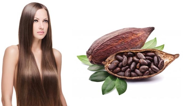Manteca de cacao: propiedades útiles y aplicaciones en cosmetología. Recetas para rostro, manos, cuerpo, cabello en casa