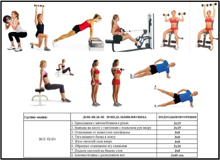 Programa de entrenamiento 3 veces por semana: un curso básico de ejercicios para principiantes para aliviar y ganar músculo
