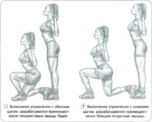 Programa de musculação para meninas na academia, em casa. Tabela de exercícios, número de repetições e abordagens