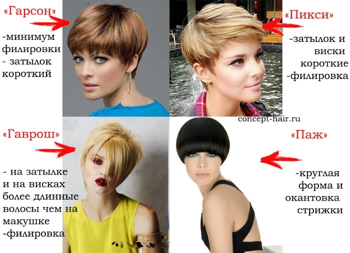 Potongan rambut wanita yang bergaya pada tahun 2020 untuk rambut pendek. Foto, pandangan depan dan belakang