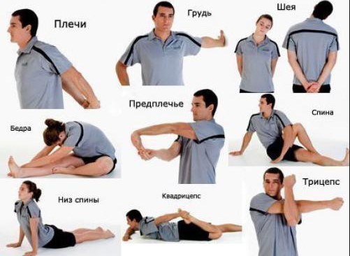 Ejercicios para hombros y articulaciones con osteocondrosis y artrosis. Ejercicios de fisioterapia para mujeres y hombres según Bubnovsky.