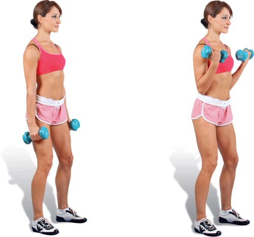 Exercises for weight loss of arms and shoulders for women with and without dumbbells, with photos and videos