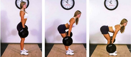 Exercices du dos dans la salle de sport pour les filles: basiques, meilleurs, plus efficaces