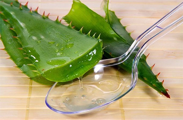 Aloe ansiktsmasker anti-aging oppskrifter for kviser, rynker, hudormer og for ungdommelig hud