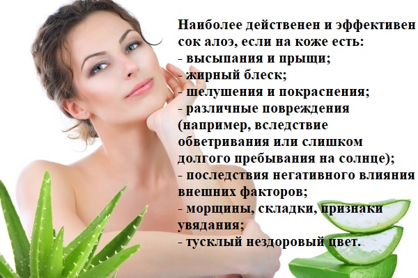 Aloe facial mascara receitas anti-envelhecimento para acne, rugas, cravos e pele jovem