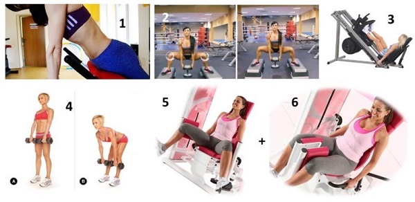 Exercise program in the gym for girls for weight loss and muscle building