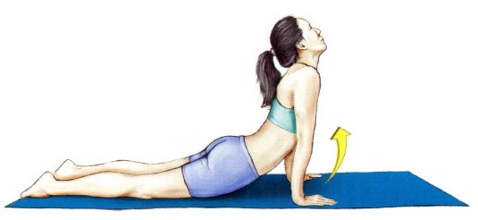 Stretching für Anfänger zu Hause vor, nach dem Training, für den Rücken, spaltet den ganzen Körper