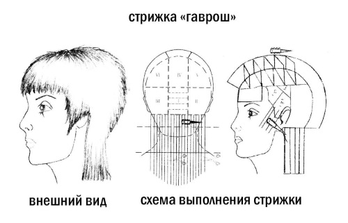 Corte de pelo Gavroche para cabello corto para mujer. Cómo se ve, a quién le queda, estilo. Fotos, vistas frontal y posterior