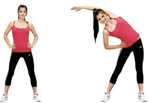 การออกกำลังกายเพื่อยืดและยืดหยุ่นทั้งร่างกายหลังและกระดูกสันหลังสำหรับเส้นใหญ่ที่บ้าน