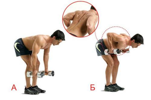 Exercises with dumbbells on the shoulders at home for men and women