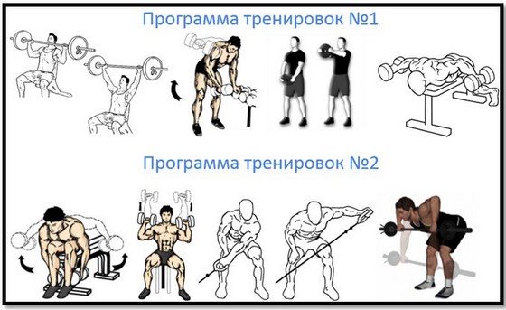 Exercices avec des haltères sur les épaules à la maison pour hommes et femmes