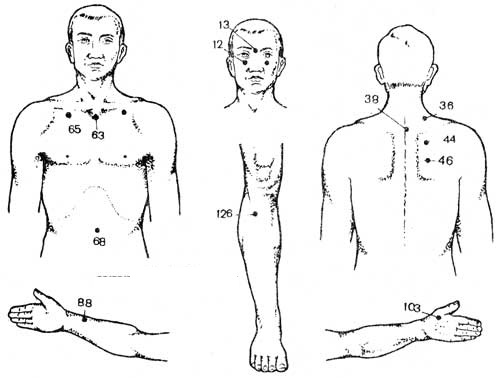 Biological active points on the human body that are responsible for organs.Acupuncture massage technique