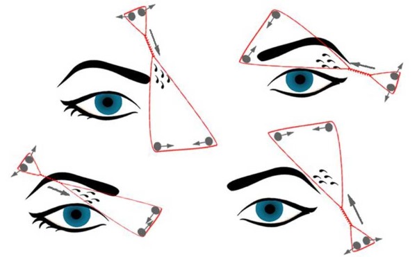 Eyebrow architecture - what is it, step-by-step instructions, schemes for correction, coloring, shaping at home