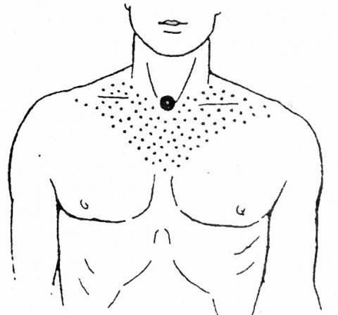 Biologicky aktivní body na lidském těle, které jsou odpovědné za orgány. Technika akupunkturní masáže