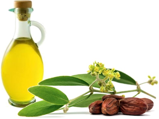 Propiedades del aceite esencial de árbol de té. Aplicación para cabello, dientes, rostro. Con aftas, hongos en las uñas, acné, verrugas, papilomas, en el interior