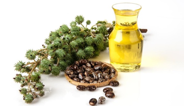 Castor oil for face: for wrinkles, age spots, acne.Application for peeling, dry and oily skin, demodicosis, during pregnancy