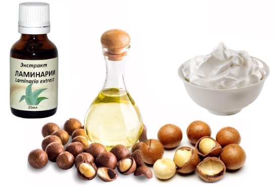 Propiedades, aplicación y beneficios del aceite de macadamia para cabello, rostro, manos, cuerpo, pestañas, piel alrededor de los ojos, labios