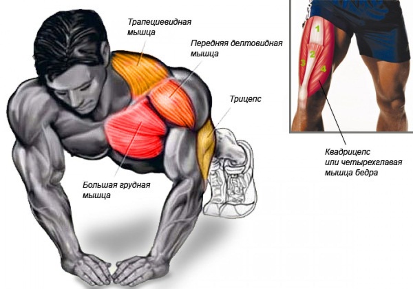 Push-ups από το πάτωμα: τι οι μύες ταλαντεύονται σε άνδρες, γυναίκες. Τεχνική εκτέλεσης, πρόγραμμα για αρχάριους, τύπους push-ups