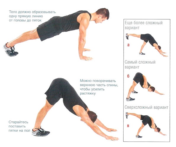 Push-up dari lantai: otot apa yang diayunkan pada lelaki, wanita. Teknik pelaksanaan, program untuk pemula, jenis push-up