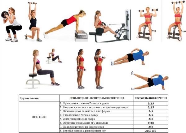 Plan ćwiczeń na siłowni dla dziewcząt. Trening obwodowy wspomagający odchudzanie, spalanie tłuszczu, pompowanie mięśni, cardio