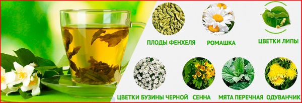 Herbs for weight loss, fat burning, diuretics, to reduce appetite, improve metabolism, cleanse the body of toxins. Instructions for the use of fees, recommendations for choosing