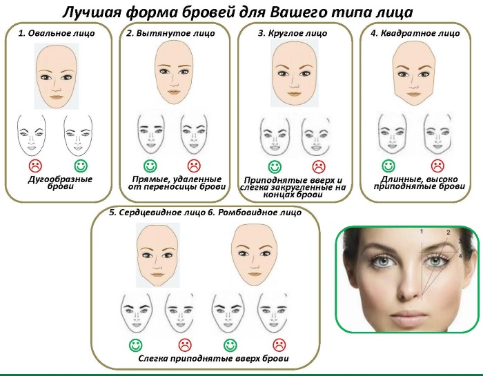 Øyenbrynform etter ansiktstype. Bildene er rette, avrundede, stigende, synkende, tynne, små. Makeup tips og veiledninger