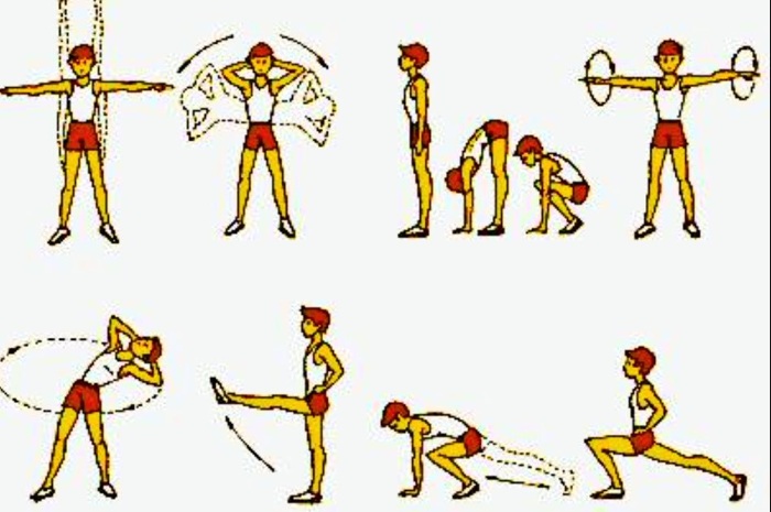 عضلات الظهر: تمارين لتقوية في المنزل ، في صالة الألعاب الرياضية ، مع تنخر العظم ، والجنف