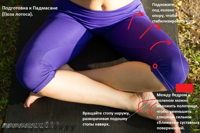 Músculs de l’esquena: exercicis per enfortir-se a casa, al gimnàs, amb osteocondrosi, escoliosi