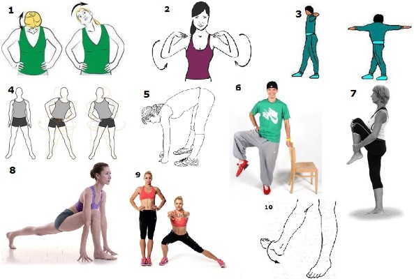 Stretching for beginners. Exercises for different body parts, fitness equipment, yoga, music and mood