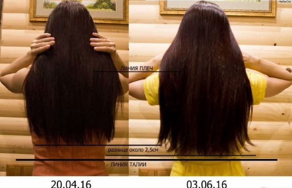 Λάδι Amla για τα μαλλιά - οφέλη, συνταγές για χρήση, ποιος είναι κατάλληλος, πώς να το χρησιμοποιήσετε