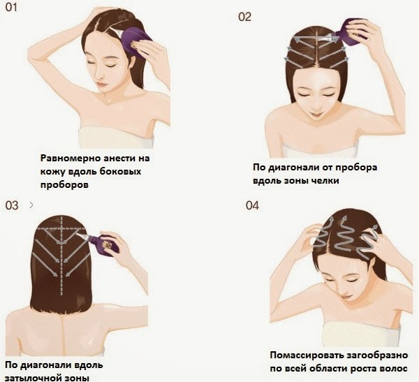 Olio di amla per capelli - benefici, ricette per l'uso, chi è adatto, come usare